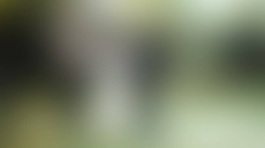 Bulanık arkaplan dokusu temasıName