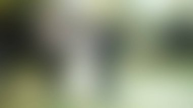 Bulanık arkaplan dokusu temasıName