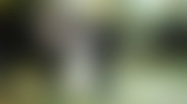 Bulanık arkaplan dokusu temasıName