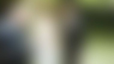 Bulanık arkaplan dokusu temasıName