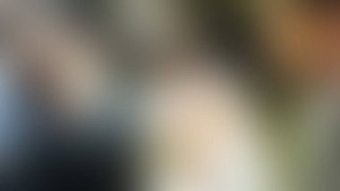 Bulanık arkaplan dokusu temasıName