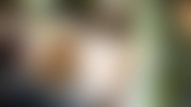 Bulanık arkaplan dokusu temasıName