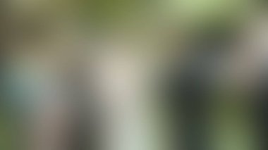 Bulanık arkaplan dokusu temasıName