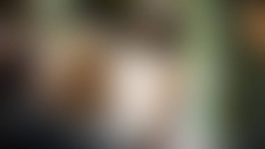 Bulanık arkaplan dokusu temasıName