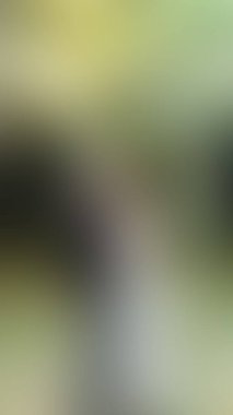 Bulanık arkaplan dokusu temasıName