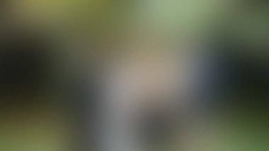 Bulanık arkaplan dokusu temasıName