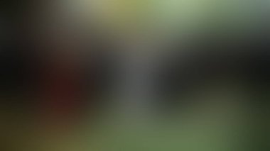 Bulanık arkaplan dokusu temasıName