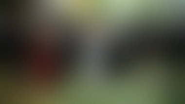 Bulanık arkaplan dokusu temasıName