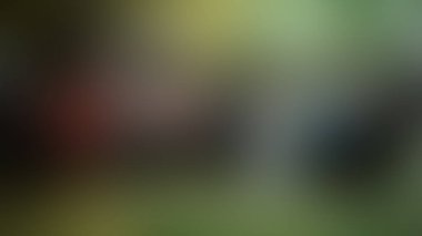 Bulanık arkaplan dokusu temasıName