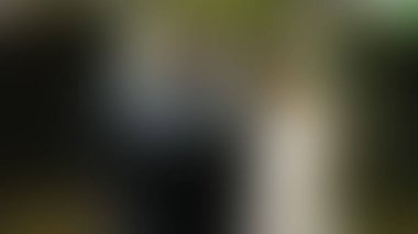 Bulanık arkaplan dokusu temasıName