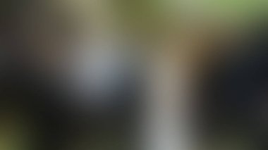 Bulanık arkaplan dokusu temasıName