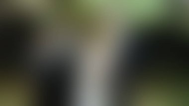 Bulanık arkaplan dokusu temasıName