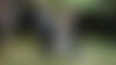 Bulanık arkaplan dokusu temasıName