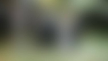 Bulanık arkaplan dokusu temasıName