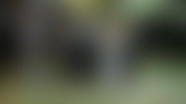 Bulanık arkaplan dokusu temasıName