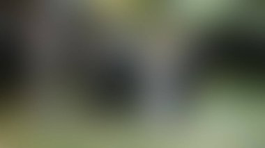 Bulanık arkaplan dokusu temasıName