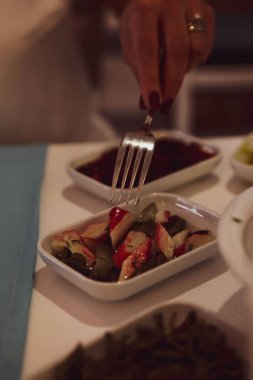 Geleneksel Türk ve Yunan yemek meze masası