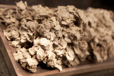 Bir grup çeşit kurabiye. Çikolata parçacıklı, yulaflı, kuru üzümlü, beyaz çikolatalı.