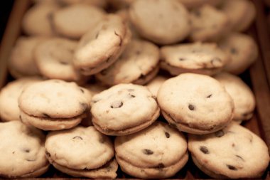 Bir grup çeşit kurabiye. Çikolata parçacıklı, yulaflı, kuru üzümlü, beyaz çikolatalı.