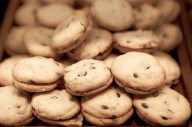 Bir grup çeşit kurabiye. Çikolata parçacıklı, yulaflı, kuru üzümlü, beyaz çikolatalı.