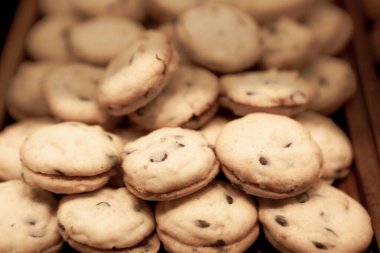 Bir grup çeşit kurabiye. Çikolata parçacıklı, yulaflı, kuru üzümlü, beyaz çikolatalı.