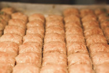 Geleneksel hindistancevizli tatlı baklavası. Ev yapımı fındıklı ve ballı baklava..