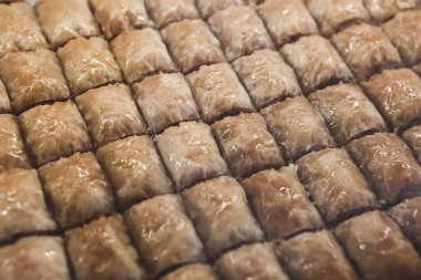 Geleneksel hindistancevizli tatlı baklavası. Ev yapımı fındıklı ve ballı baklava..