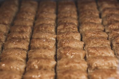Geleneksel hindistancevizli tatlı baklavası. Ev yapımı fındıklı ve ballı baklava..