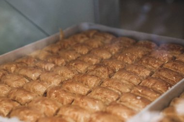 Geleneksel hindistancevizli tatlı baklavası. Ev yapımı fındıklı ve ballı baklava..