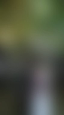 Bulanık arkaplan dokusu temasıName