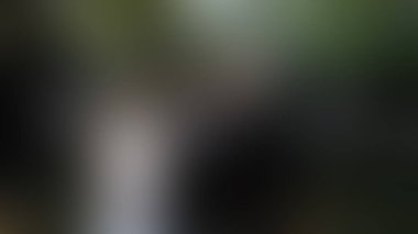 Bulanık arkaplan dokusu temasıName