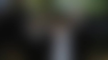 Bulanık arkaplan dokusu temasıName