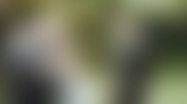 Bulanık arkaplan dokusu temasıName