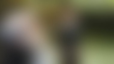 Bulanık arkaplan dokusu temasıName