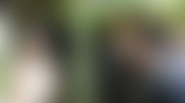 Bulanık arkaplan dokusu temasıName