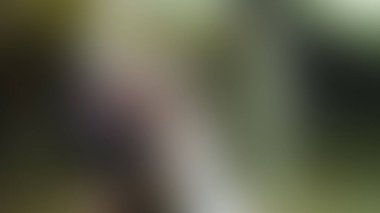 Bulanık arkaplan dokusu temasıName