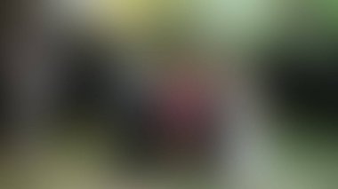 Bulanık arkaplan dokusu temasıName