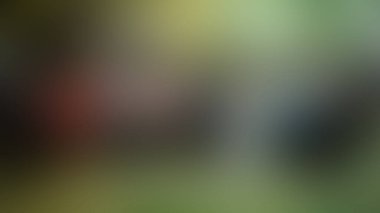 Bulanık arkaplan dokusu temasıName