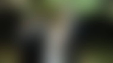 Bulanık arkaplan dokusu temasıName