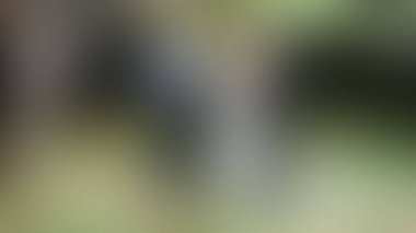 Bulanık arkaplan dokusu temasıName