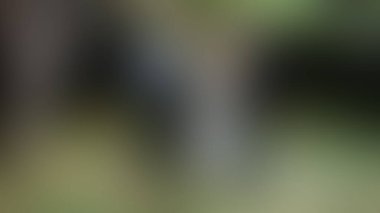 Bulanık arkaplan dokusu temasıName