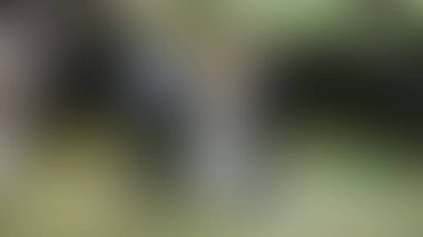 Bulanık arkaplan dokusu temasıName