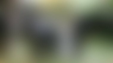 Bulanık arkaplan dokusu temasıName