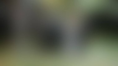 Bulanık arkaplan dokusu temasıName