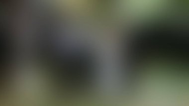 Bulanık arkaplan dokusu temasıName