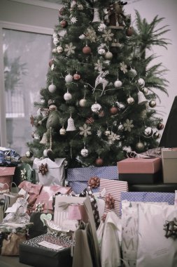 Çam Noel ağacı hediyesi.