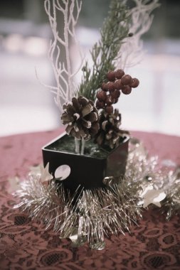 Çam Noel ağacı hediyesi.