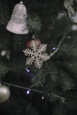 Çam Noel ağacı hediyesi.