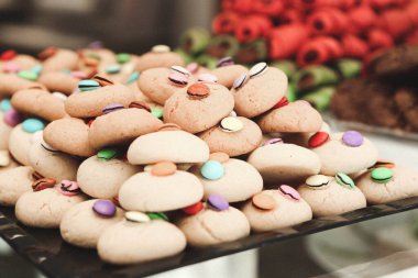 Bir grup çeşit kurabiye. Çikolata parçacıklı, yulaflı, kuru üzümlü, beyaz çikolatalı.