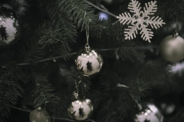 Pine Christmas Tree Gift — Stock Photo, Image